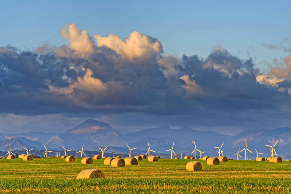 Wind farm in Alberta