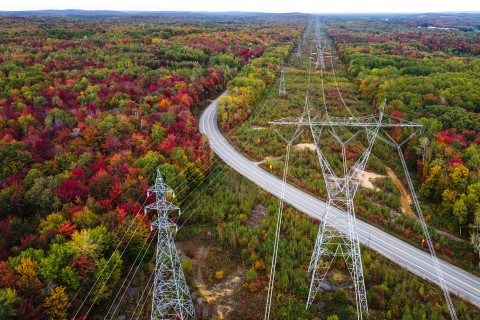 Electricity line in autumn forest