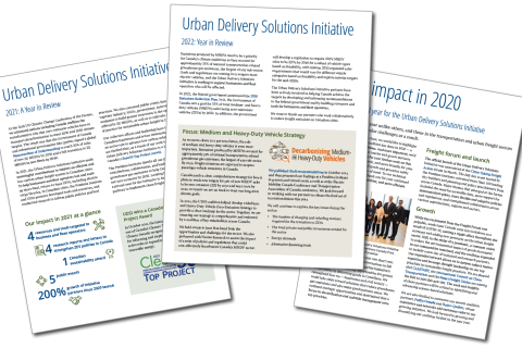 UDSI impact report covers